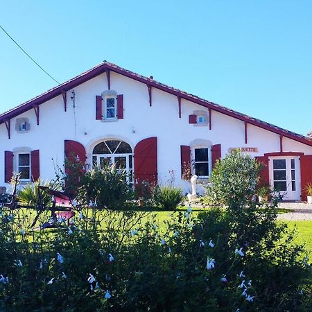 La Coquille Bed and Breakfast Pouillon Buitenkant foto